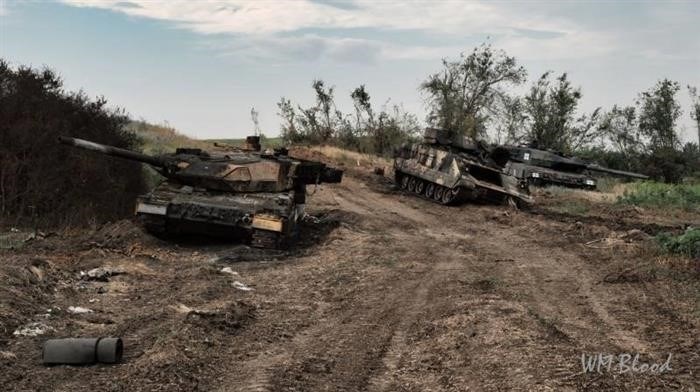 Минусы Leopard 2 для Украины