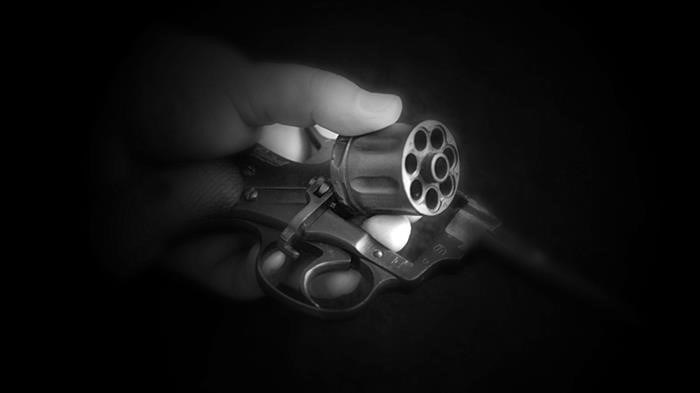 Револьвер «Наган» образца 1895 года (Бельгия - Россия)