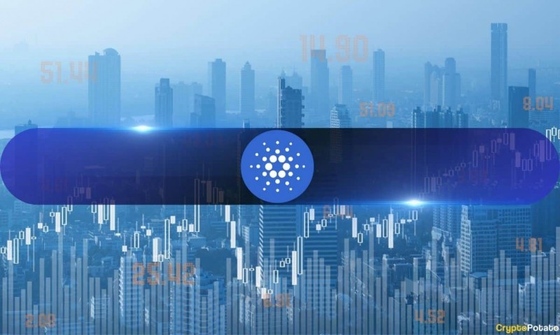  Бычье возрождение Cardano (ADA): активность сети достигла 840 тыс. транзакций 
